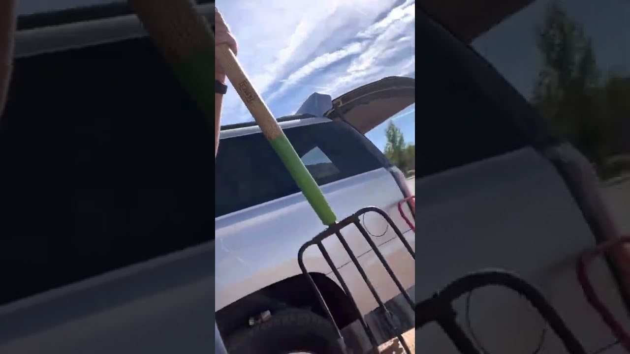 Thorn Removal Combo (Free Shipping) Sticker Burr Roller