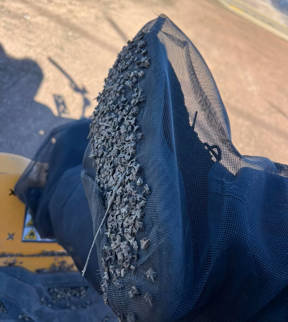 Sticker Burr Roller - Easy Burr Removal for Yards & Pets